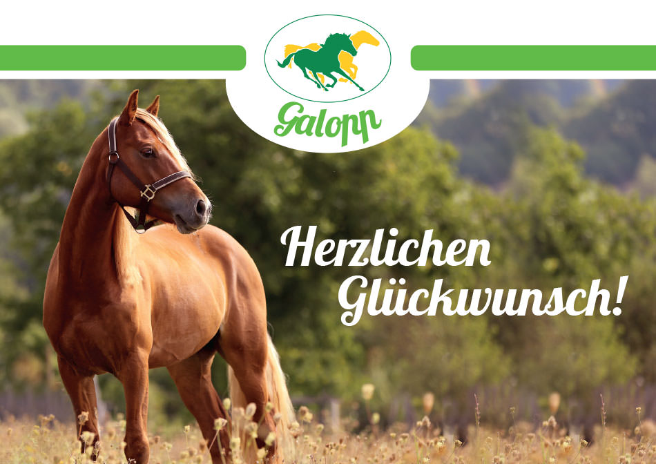 Galopp Geschenkgutschein Gutschein Motiv 6