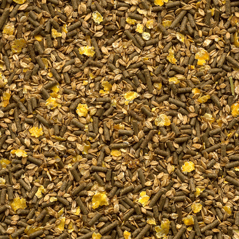 Galopp Mix Pferdemüsli