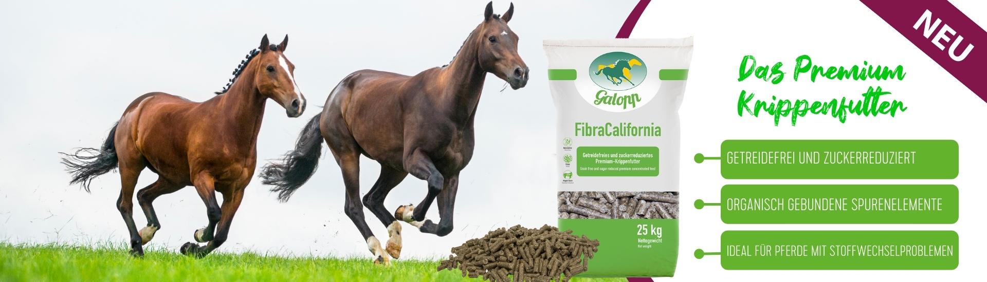 Neu: Fibra California - Galopp Premium Krippenfutter für Pferde