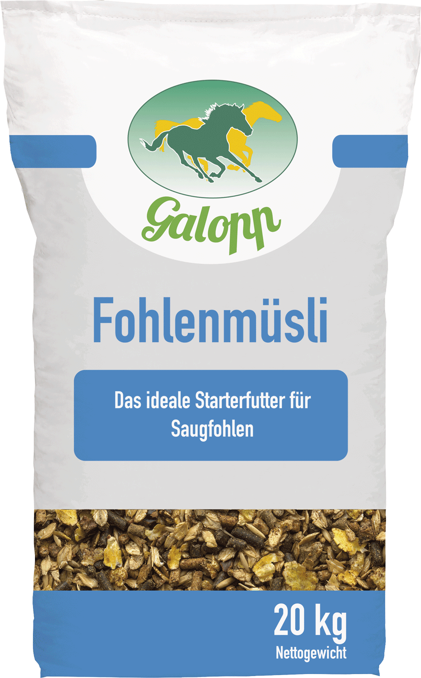 Galopp Fohlenmüsli