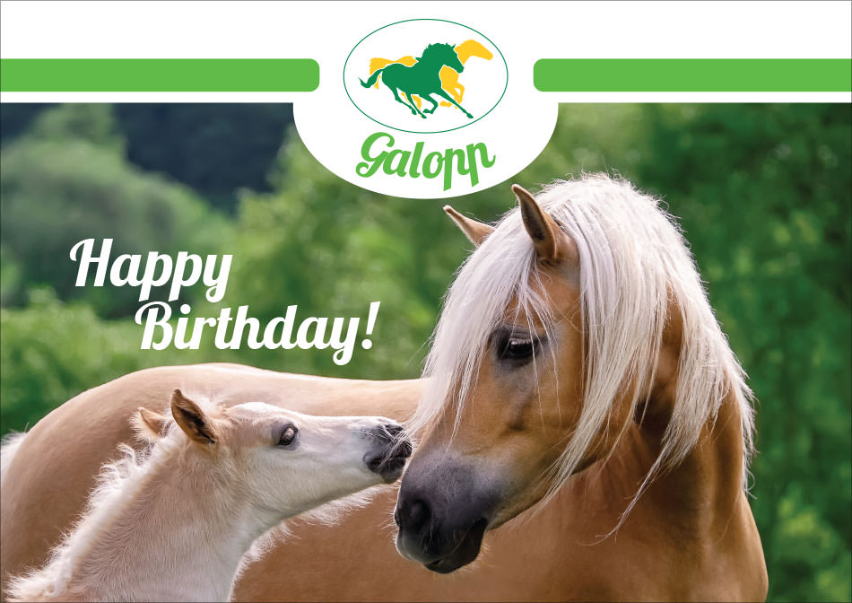 Galopp Gutschein