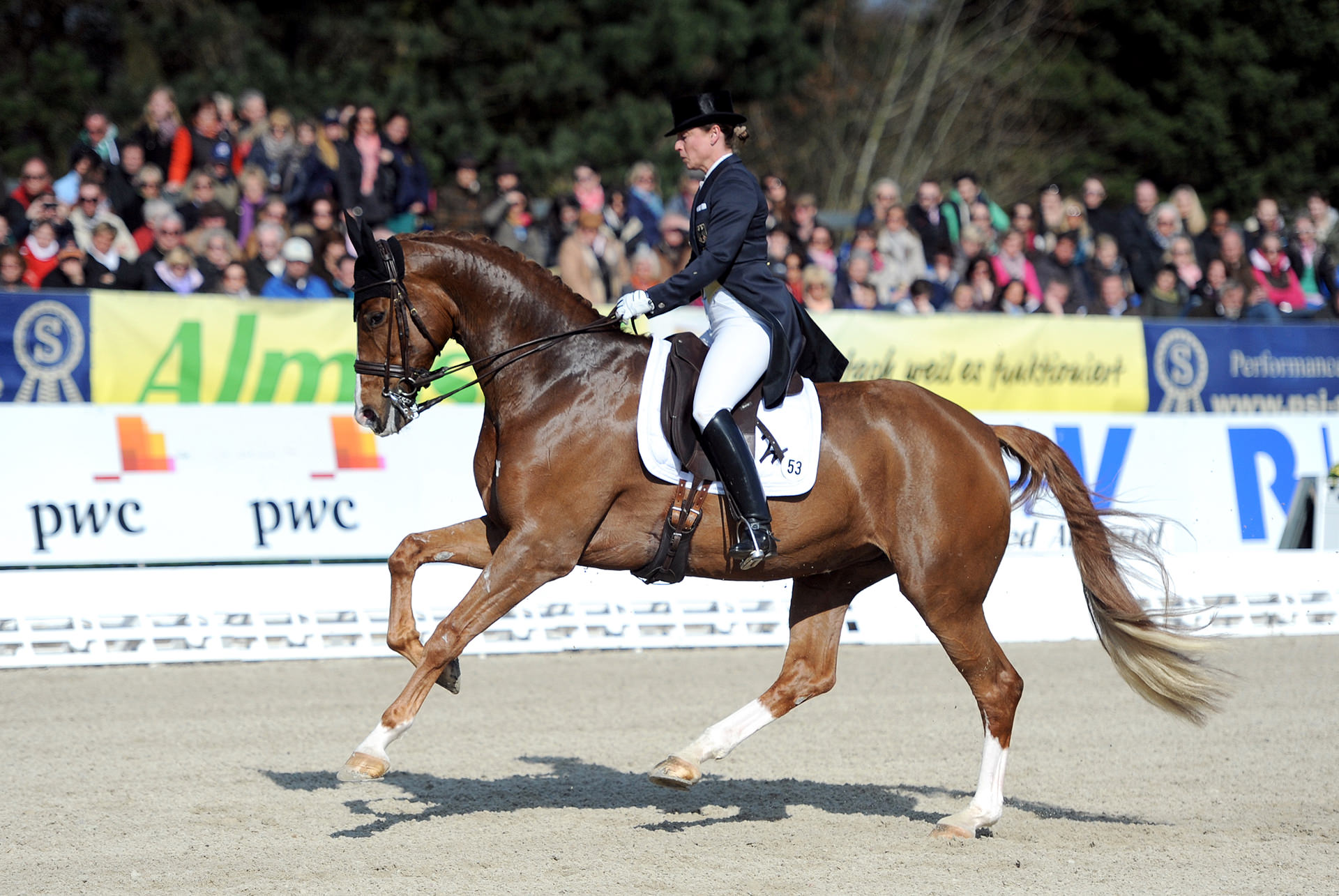 Isabell Werth setzt auf Galopp