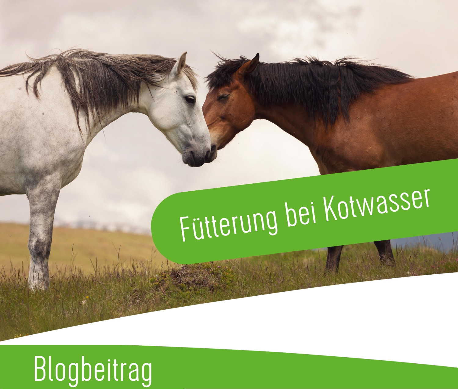 NEUES DESIGN (5)