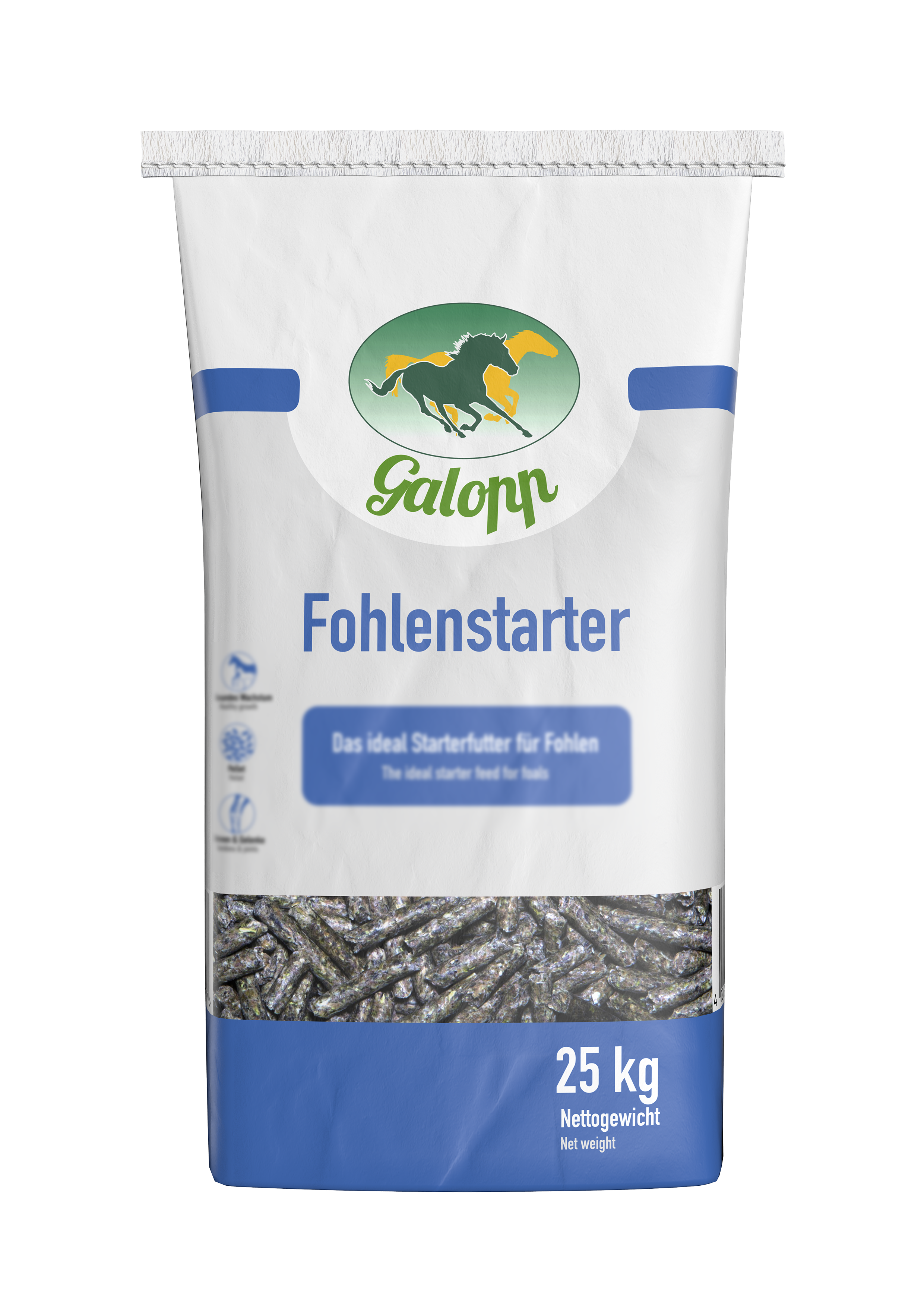 Galopp Fohlenstarter
