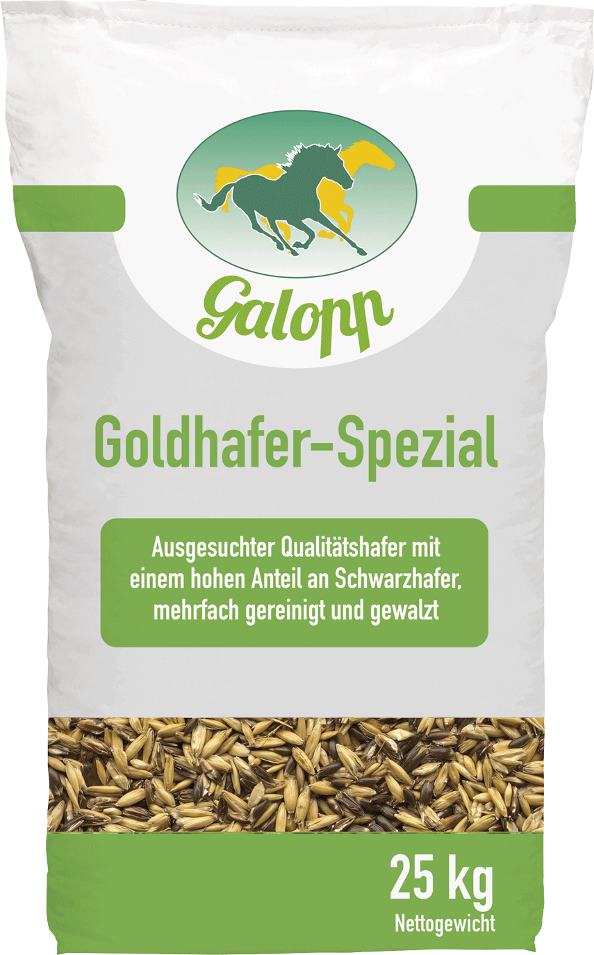 Galopp Goldhafer-Spezial
