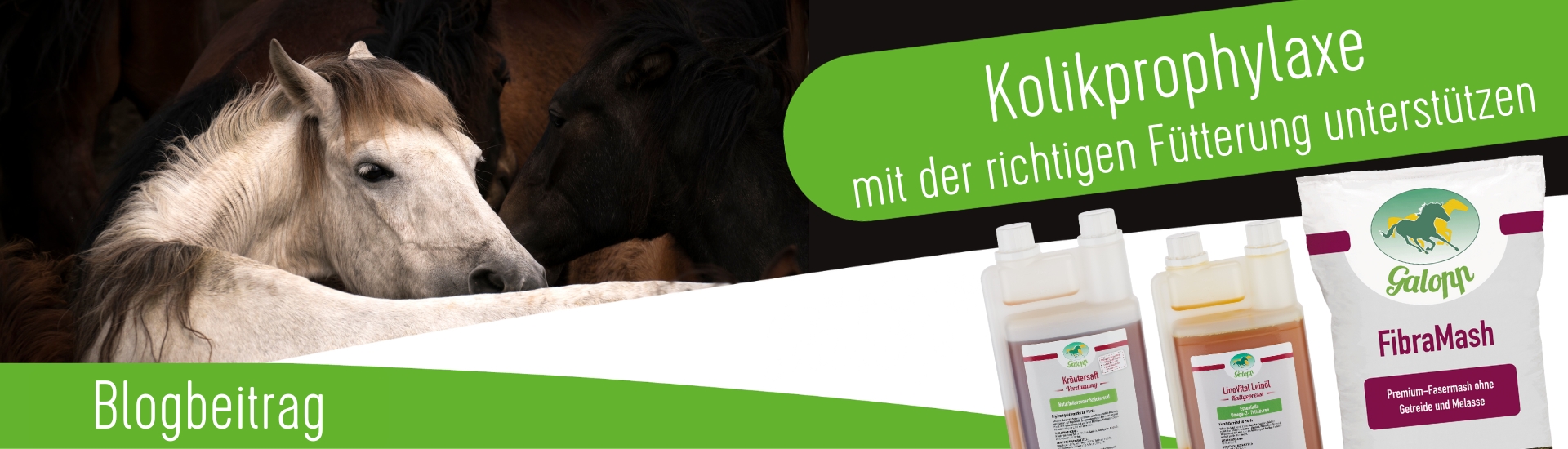 Kolikprophylaxe mit der richtigen Fütterung unterstützen 