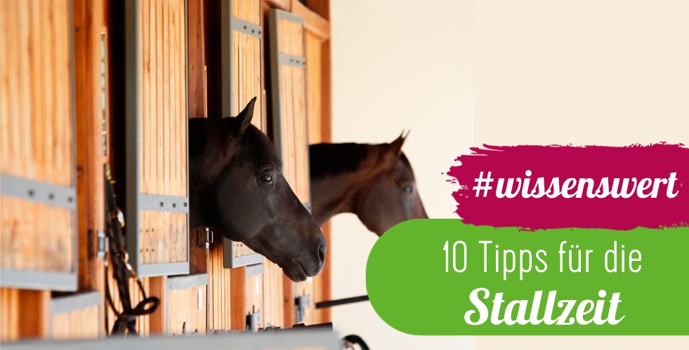 10 Tipps zur Vorbereitung auf die Stallzeit - Pferde im Winter