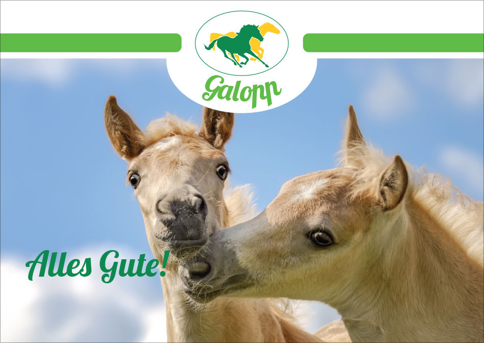 Galopp Gutschein