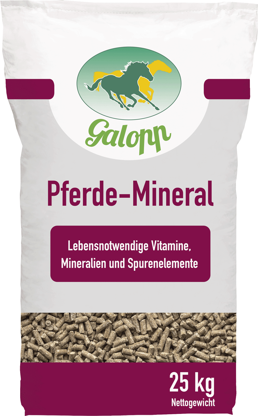 Galopp Pferde-Mineral