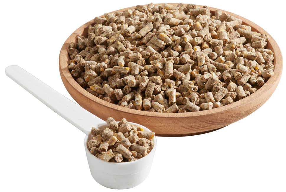 Galopp Biotin für Hufe und Haare 