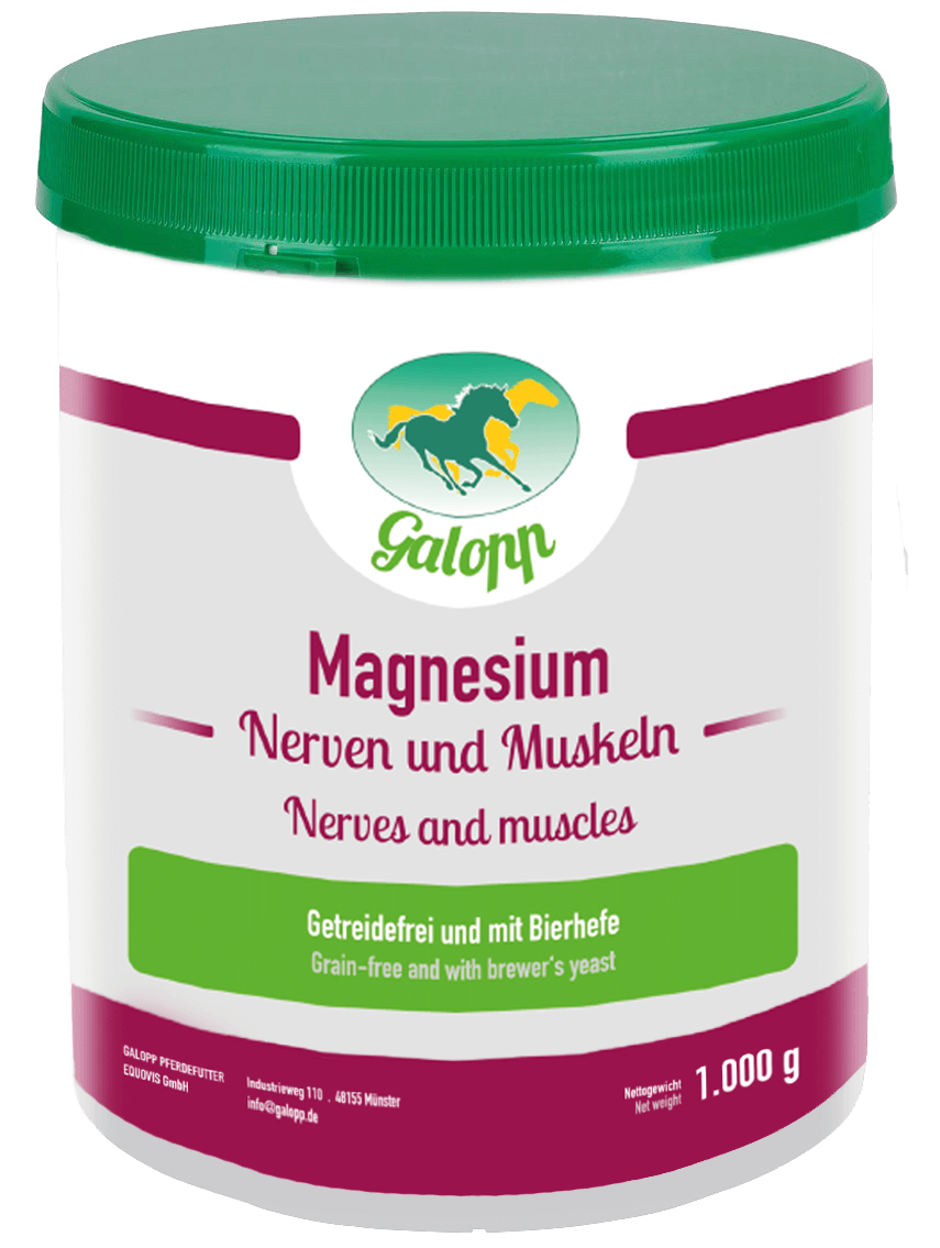 Galopp Magnesium (getreidefrei)