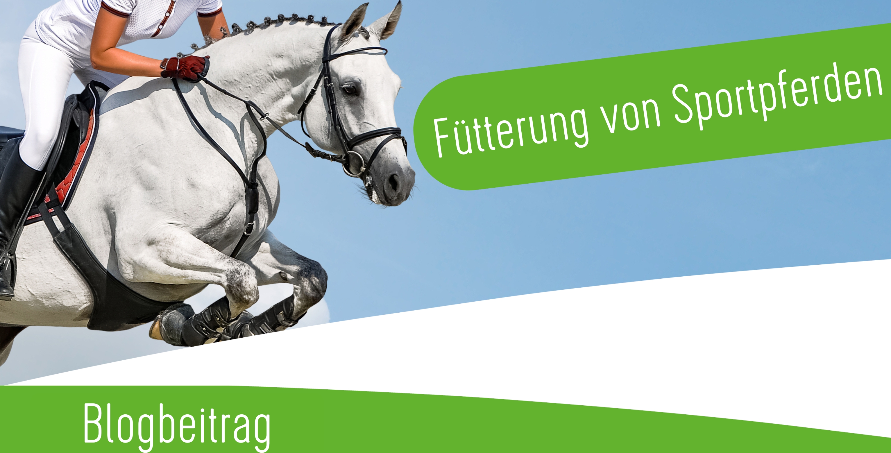 Fütterung von Sportpferden Fütterung von Sportpferden