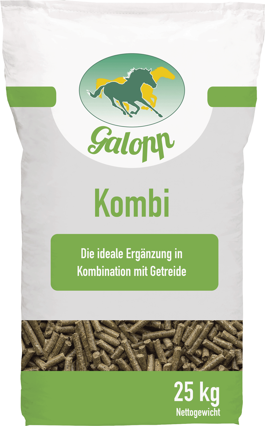 Galopp Kombi