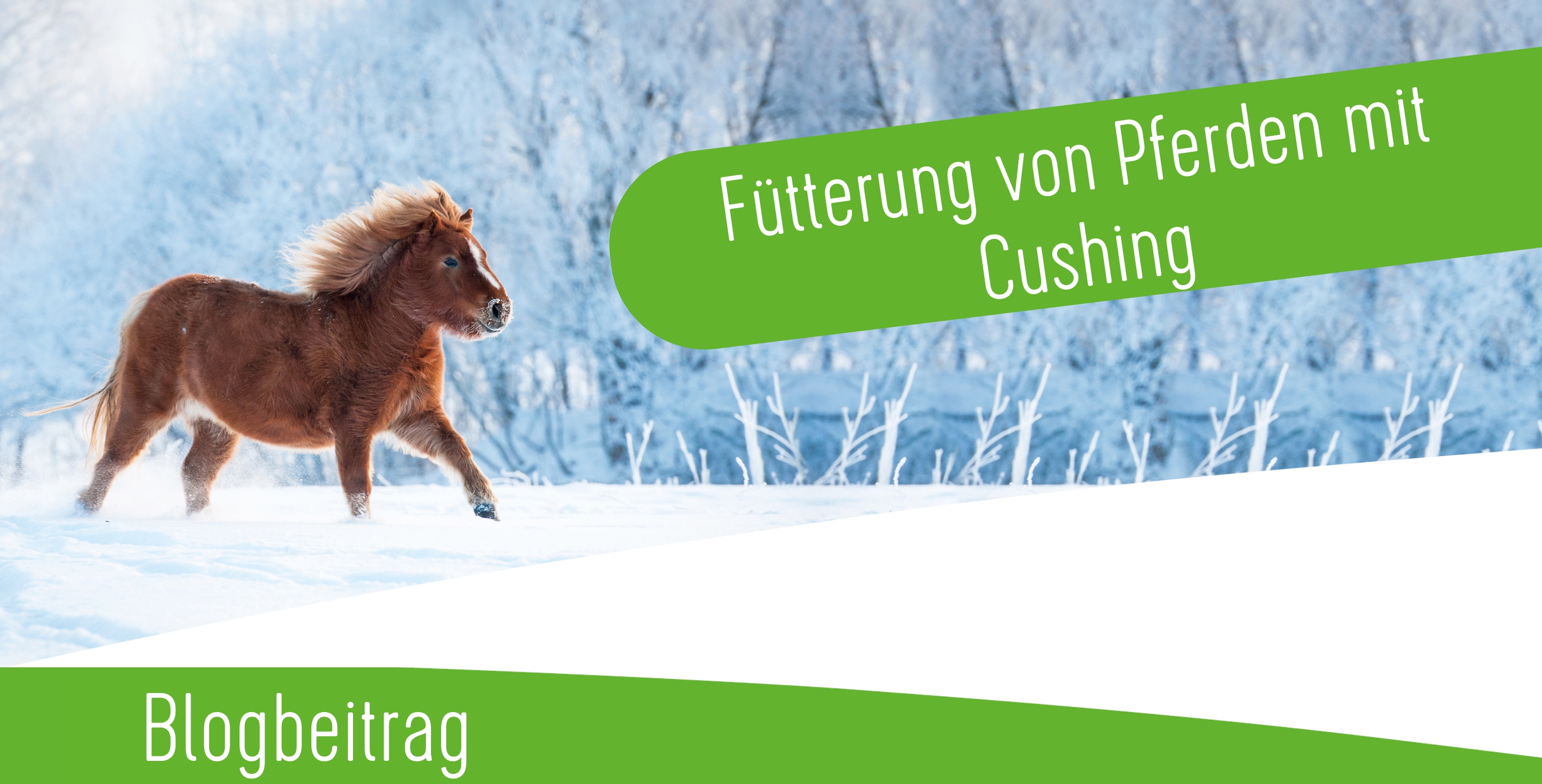 Fütterung von Pferden mit Cushing Syndrom Fütterung von Pferden mit Cushing Syndrom