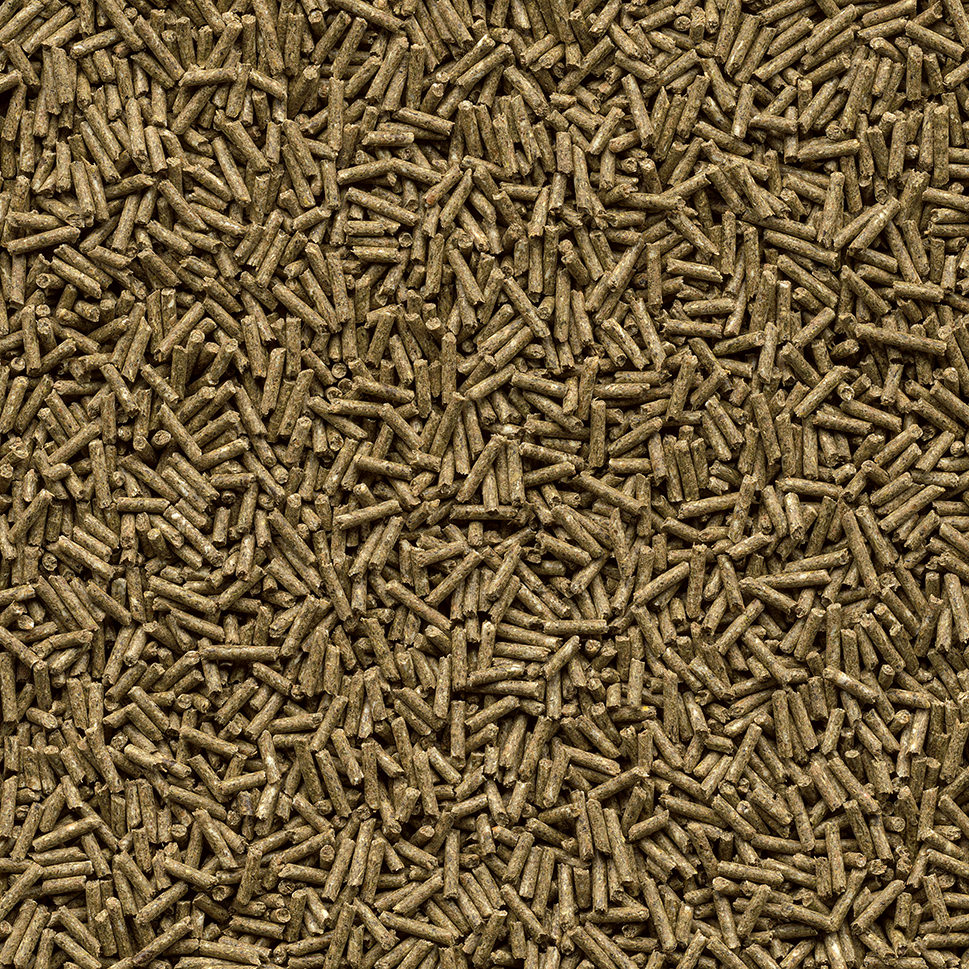 Galopp Zucht Pellet Pferdefutter