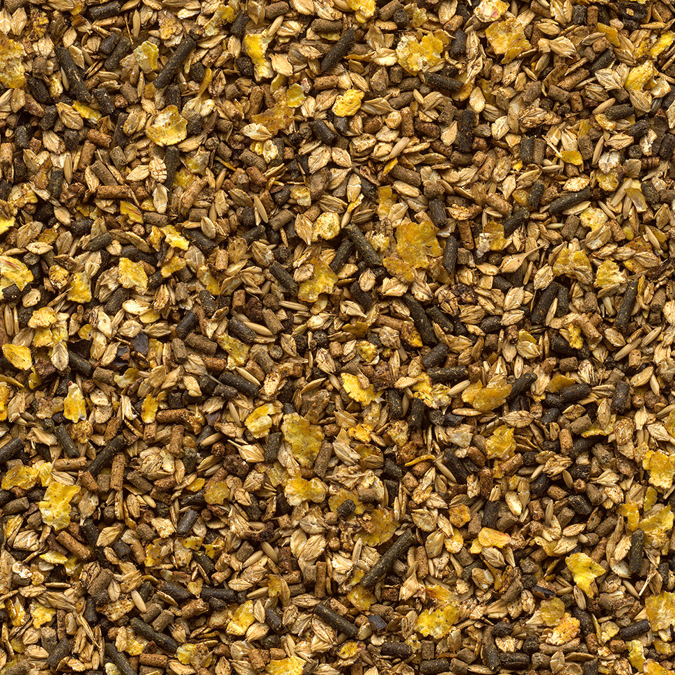 Galopp Fohlenmuesli