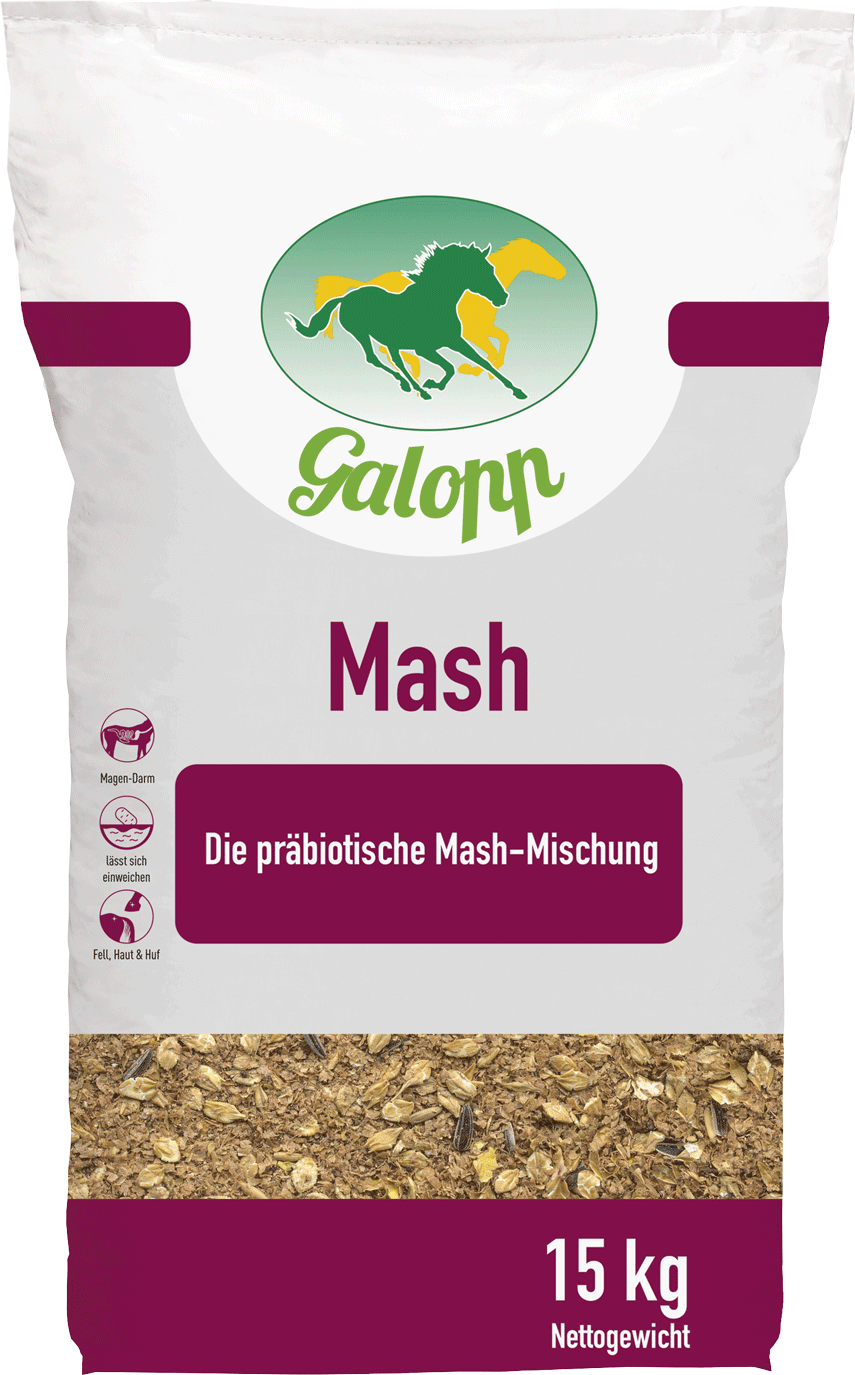 Galopp Mash für Pferde