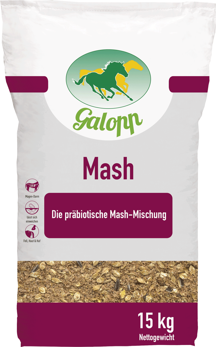 Galopp Mash