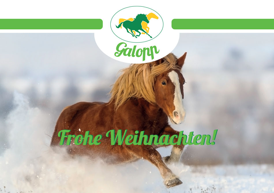 Galopp Geschenkgutschein Gutschein Motiv 4