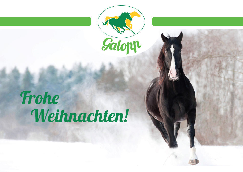 Galopp Geschenkgutschein Gutschein Motiv 1