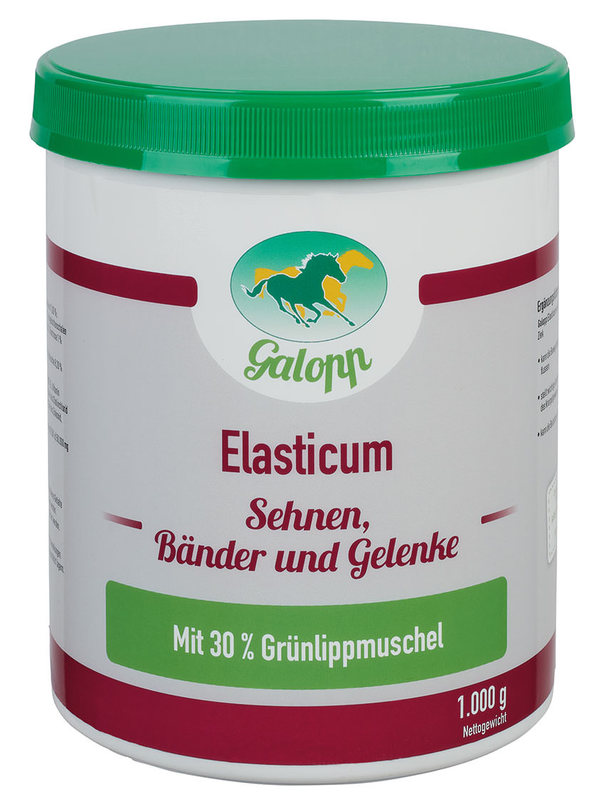 Galopp Elasticum für Sehenen, Bänder und Gelenke von Pferden