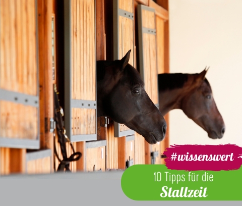 10 Tipps für die Stallzeit