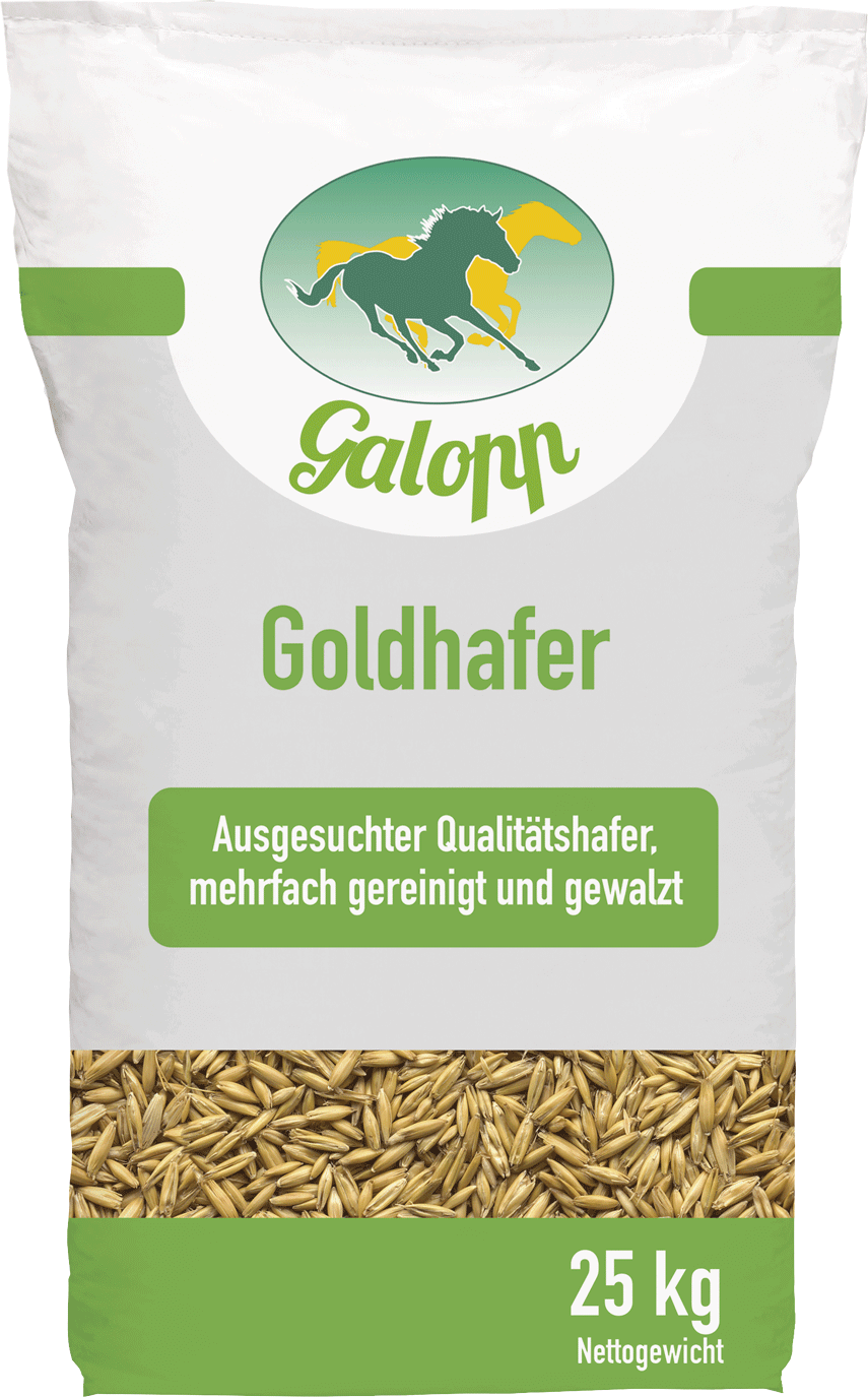 Galopp Goldhafer