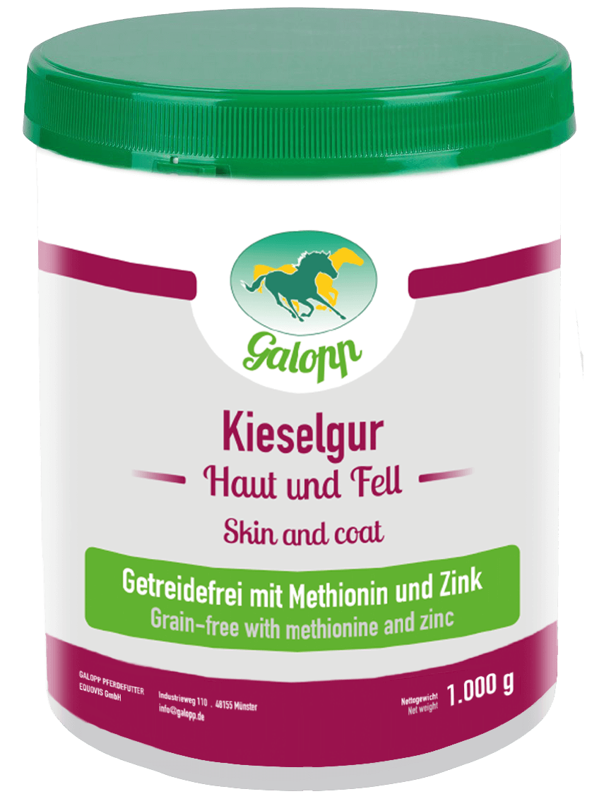 Galopp Kieselgur (getreidefrei)