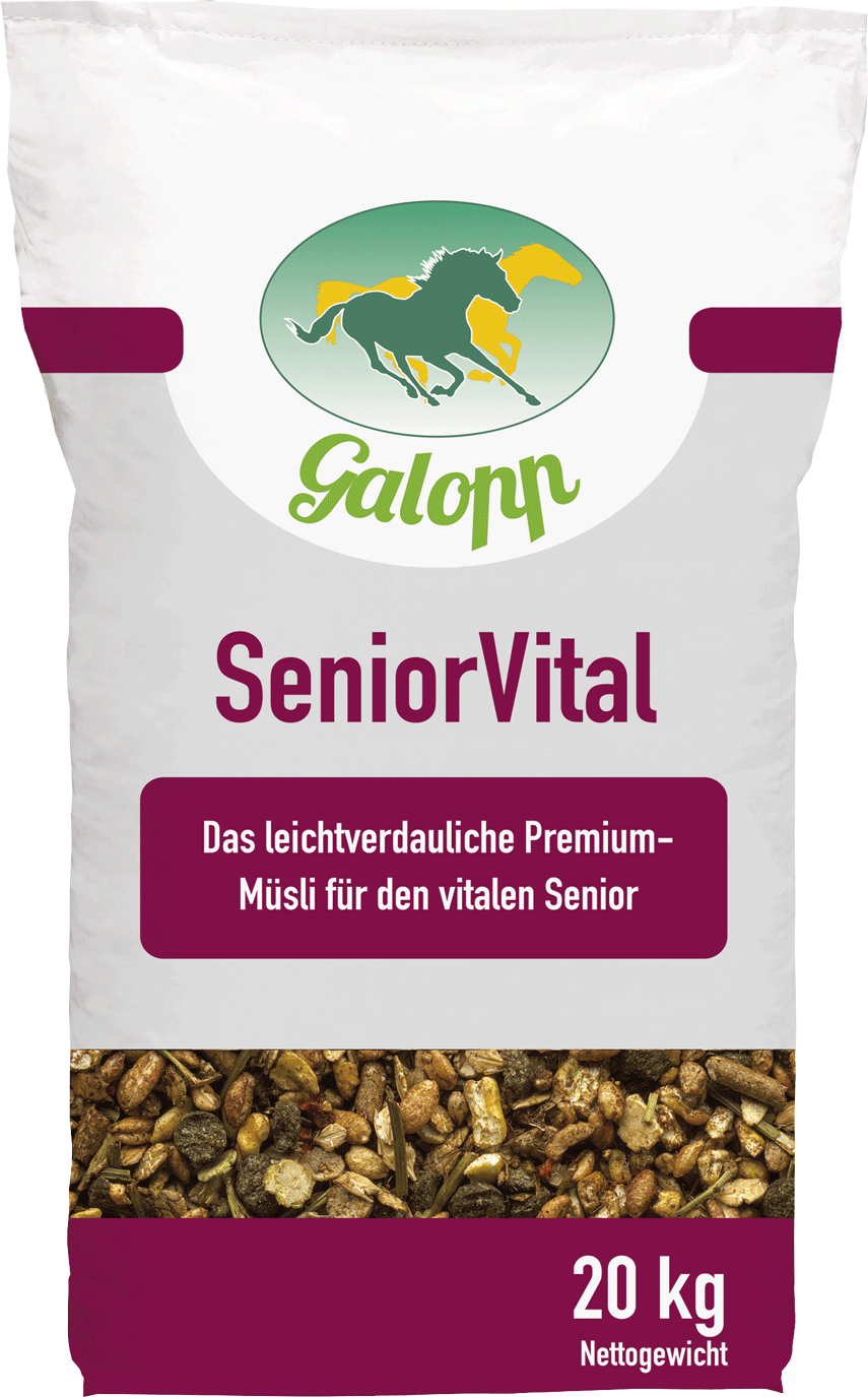 Galopp SeniorVital