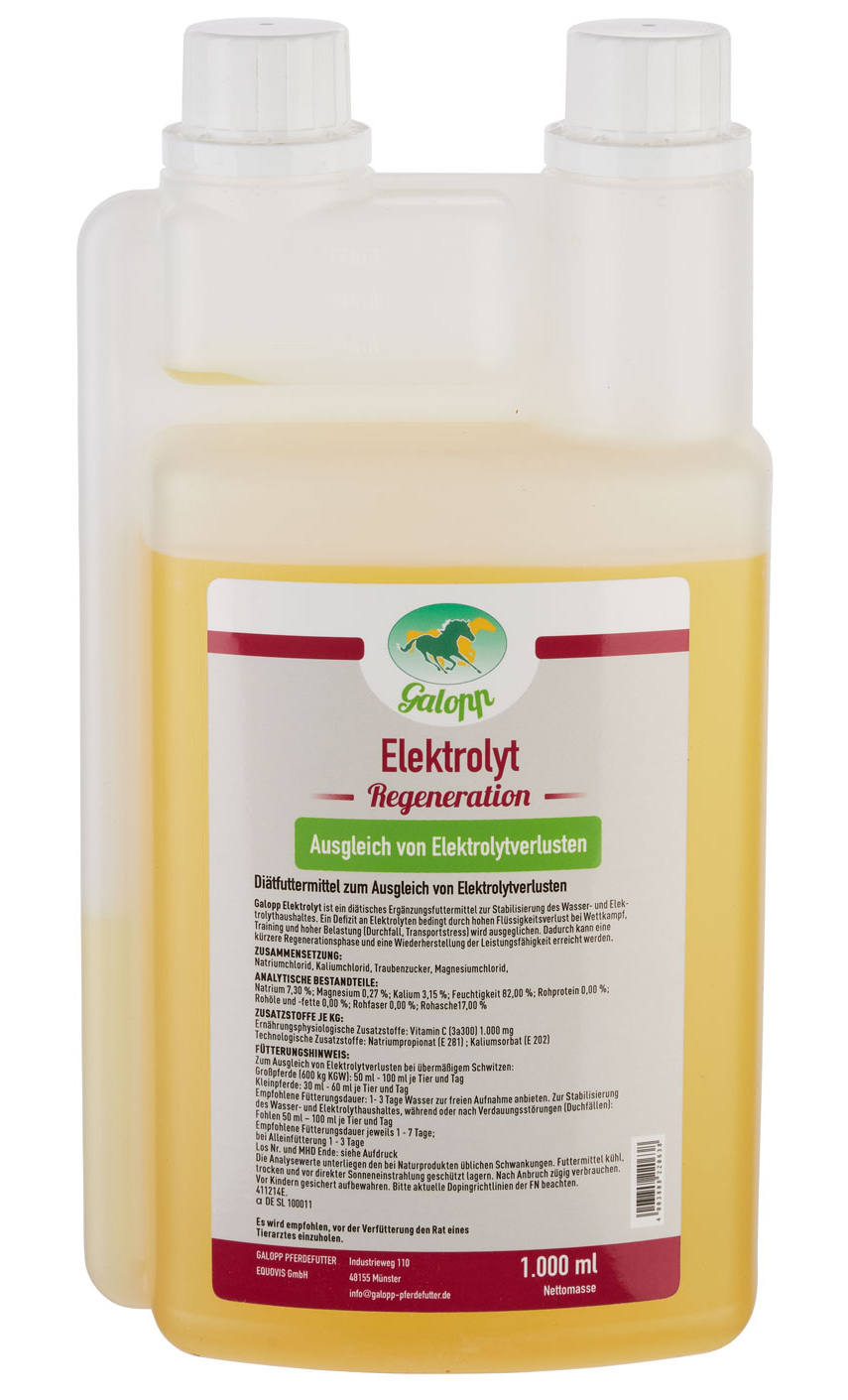 Galopp Elektrolyt zur Regeneration