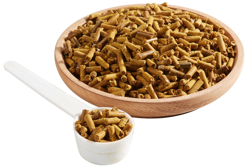 Galopp Knoblauch für Pferde